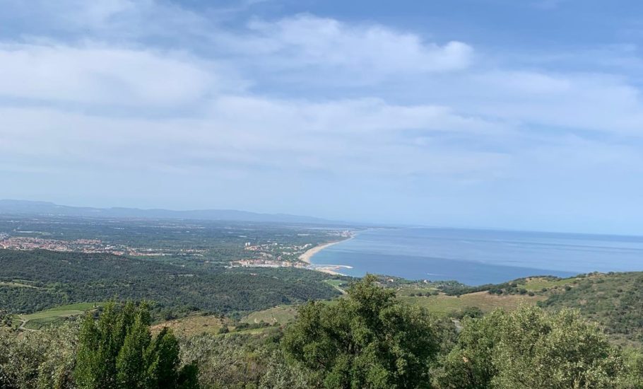 WhatsApp Image 2025-10-22 at 10.24.02 (1)