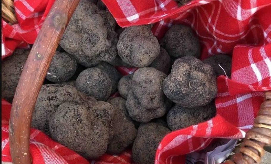 sejour a velo pays de la truffe